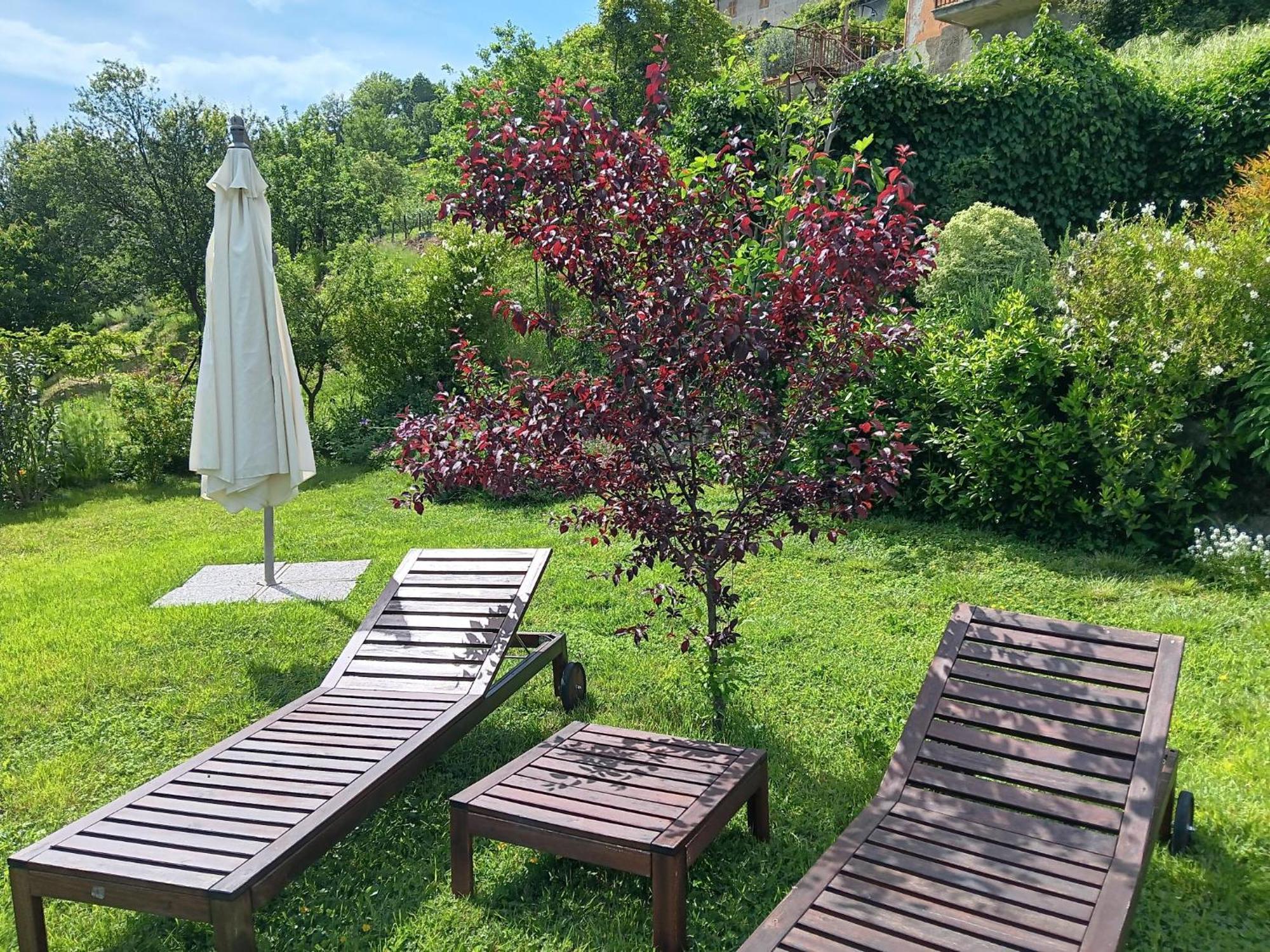Monti Guesthouse Monti di Licciana Nardi Екстер'єр фото